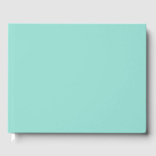 Blek Robin Egg Blue Solid Färg Gästböcker