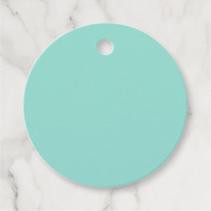 Blek Robin Egg Blue Solid Färg Gåvor Etiketter
