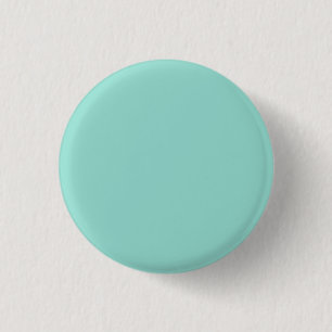 Blek Robin Egg Blue Solid Färg Knapp
