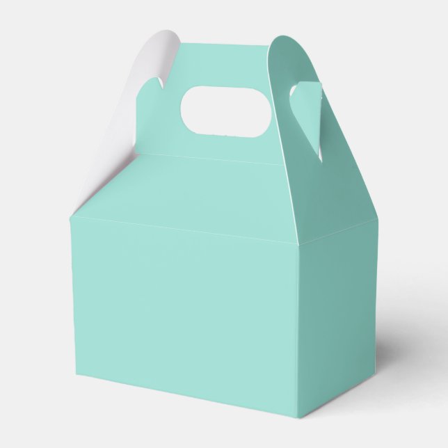 Blek Robin Egg Blue Solid Färg Presentaskar (Framsidan Sidan)