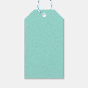 Blek Robin Egg Blue Solid Färg Presentetikett