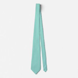 Blek Robin Egg Blue Solid Färg Slips