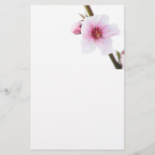 Blek rosa brevpapper (Framsida)