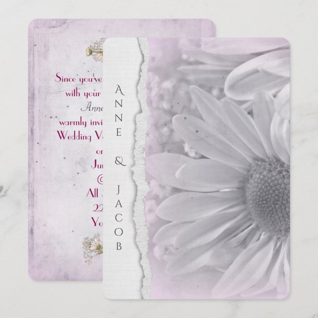 blek rosa daisy makro på söndersliten kant papper inbjudningar (Fram/baksida)