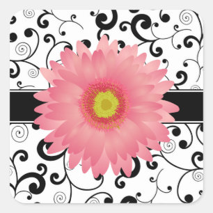Blek Rosa Gerbera Daisy Black Rulla Design Seal Fyrkantigt Klistermärke