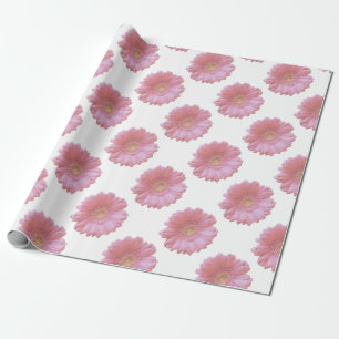 Blek rosa gerbera daisy presentpapper