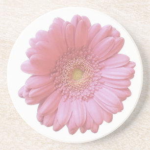 Blek rosa gerbera daisy underlägg sandsten