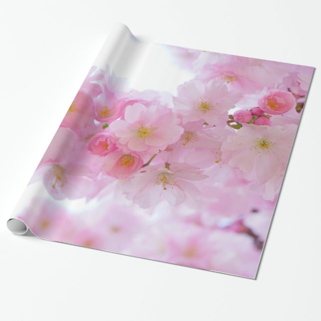 Blek - rosa körsbärblommar presentpapper (Utrullad)