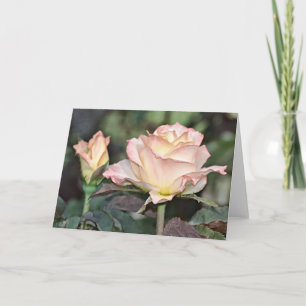 Blek Rosa och Gul ros Art-kort Kort