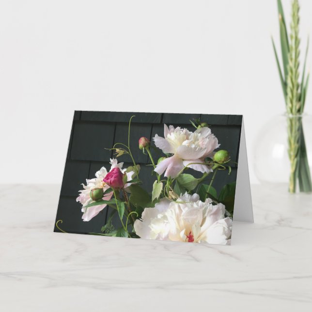 Blek Rosa Peonies 2020 av Diane Heller Kort (Framsida)