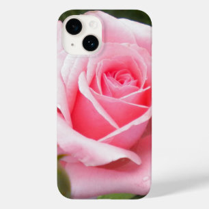 Blek Rosa ros