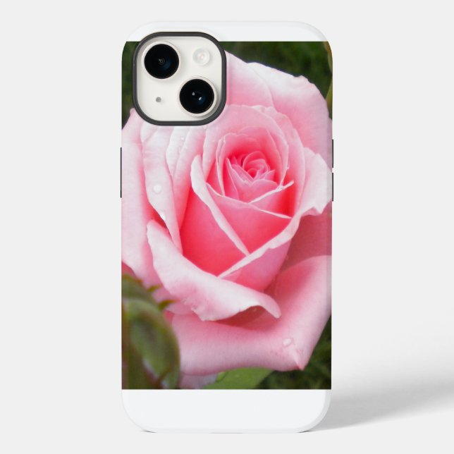 Blek Rosa ros (Baksida)