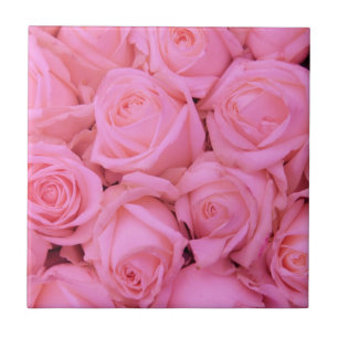 Blek rosa ros kakelplatta