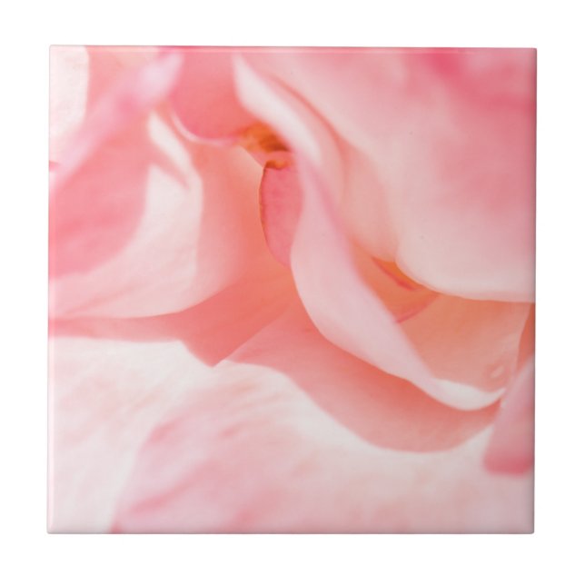 Blek rosa ros Petals Kakelplatta (Framsidan)