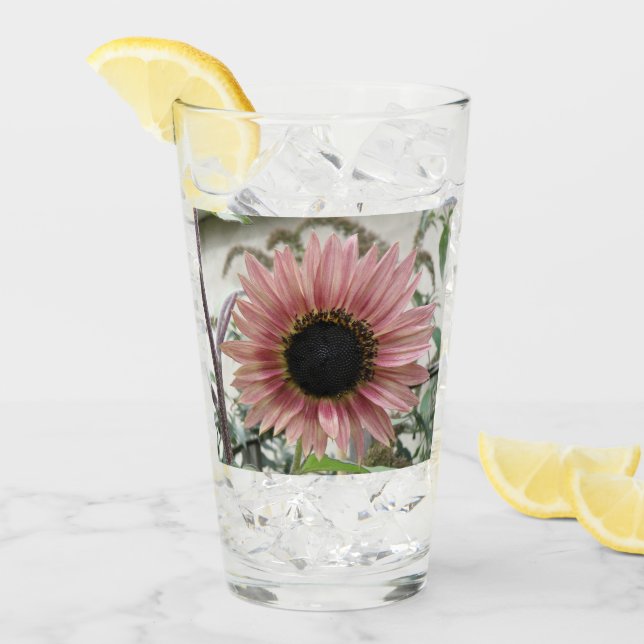 Blek Rosa Solros Glaskopp (Framsida Ice)