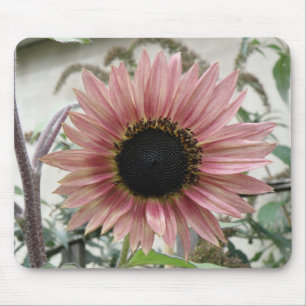 Blek Rosa Solros Mousepad Musmatta