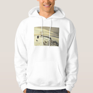 Blek vinterdag sweatshirt