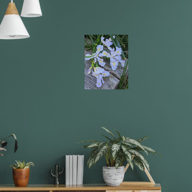 Bleka lila irisblommor poster (Vardagsrum 1)