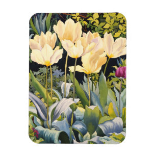 Bleka tulpan magnet