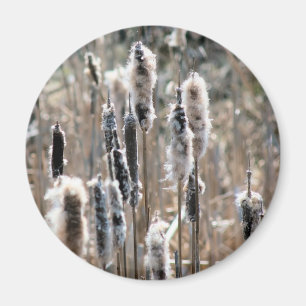 Blekade kaveldunsnaturfotografier magnet