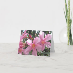 Blekande blommor av rosa kort