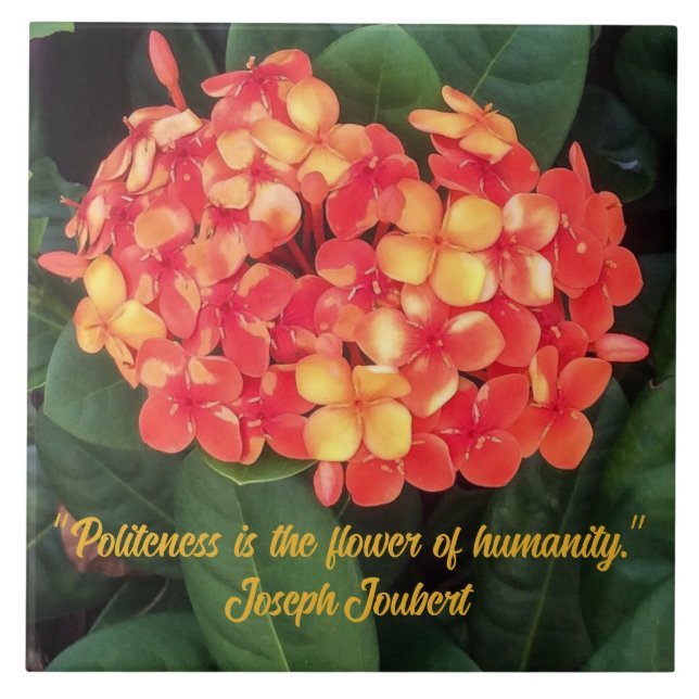 Blekande bricka i keramiskt keramik kakelplatta (Framsidan)