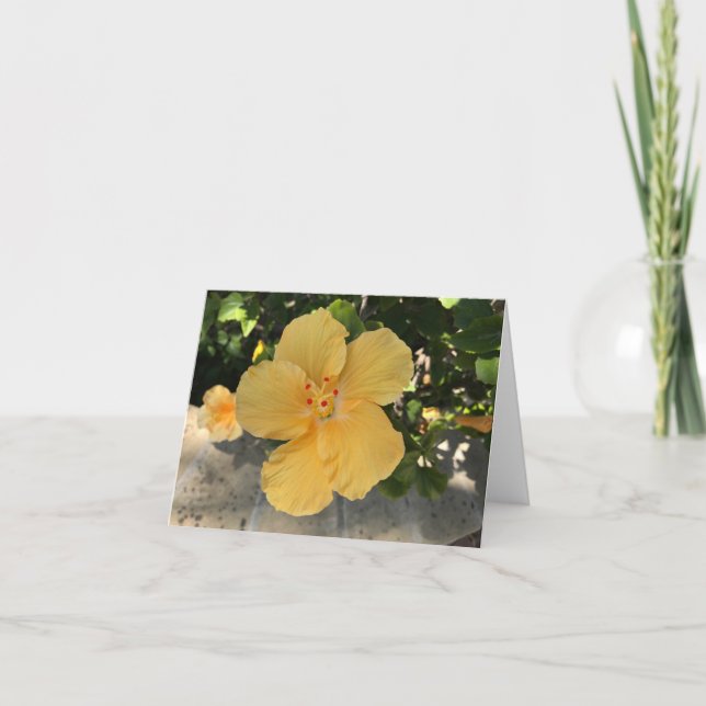 Blekande gult blomma kort (Framsida)