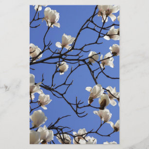 Blekande Magnolias Brevpapper