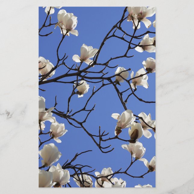Blekande Magnolias Brevpapper (Framsida)