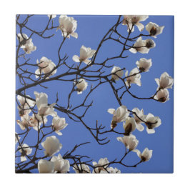 Blekande Magnolias Kakelplatta