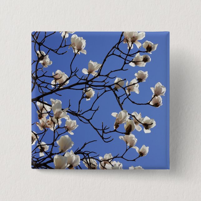 Blekande Magnolias Knapp (Framsida)