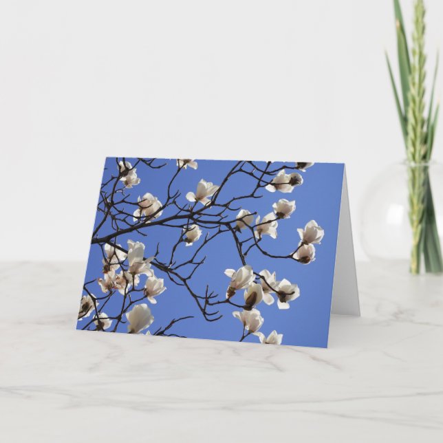 Blekande Magnolias Kort (Framsida)