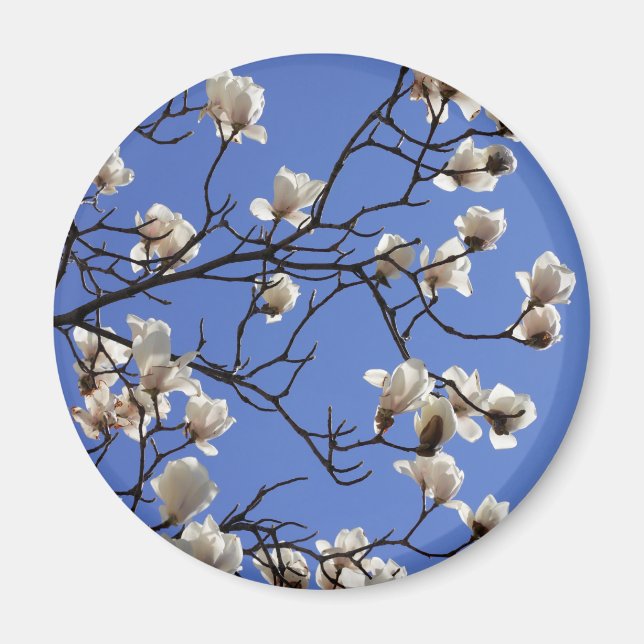Blekande Magnolias Magnet (Framsidan)