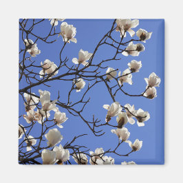 Blekande Magnolias Magnet
