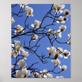 Blekande Magnolias Poster