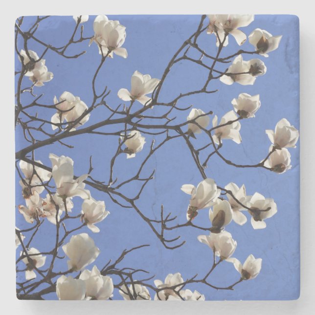 Blekande Magnolias Stenunderlägg (Framsidan)