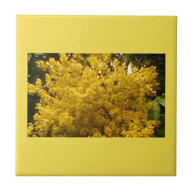 Blekande pollen kakelplatta (Framsidan)