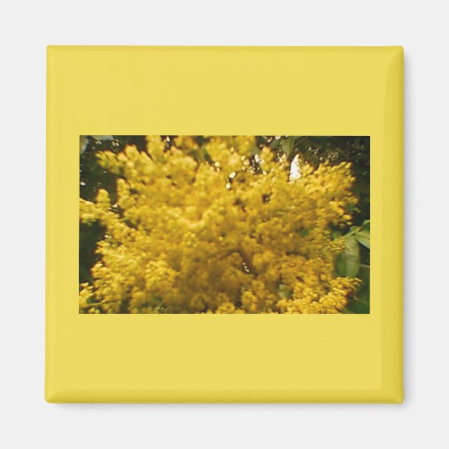 Blekande pollen magnet (Framsidan)