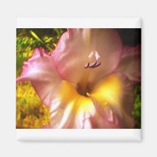 Blekande Rosa Flower Magnet