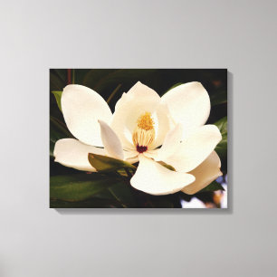 Blekande vitt Magnolia-uppretat Kanvastryck