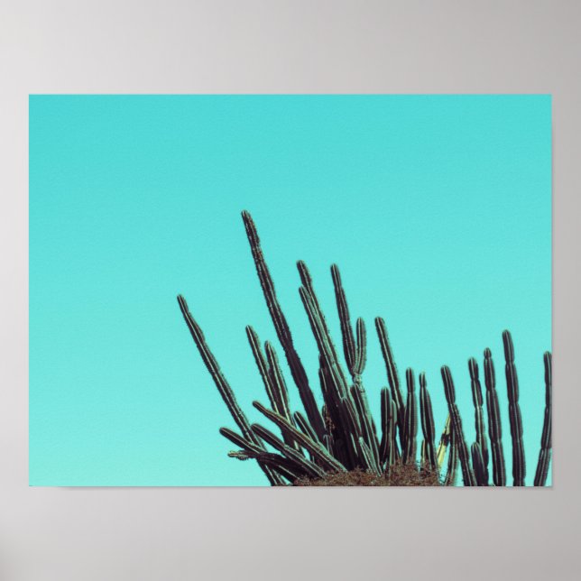 Blekens Grönt Cactus Succulants-minimalism Poster (Framsidan)