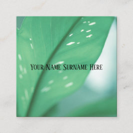 Blekgröna växtblad Natur Känsla Visitenhet Fyrkantigt Visitkort