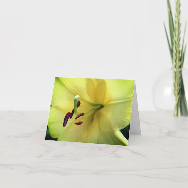 Blekgul lilje blomfotografering  anteckningskort (Framsida)