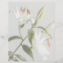 Bleknad vit lilja scrapbookpapper