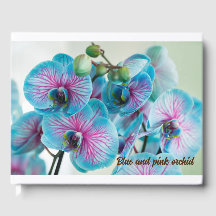 Blekning isolerad på vit bakgrund