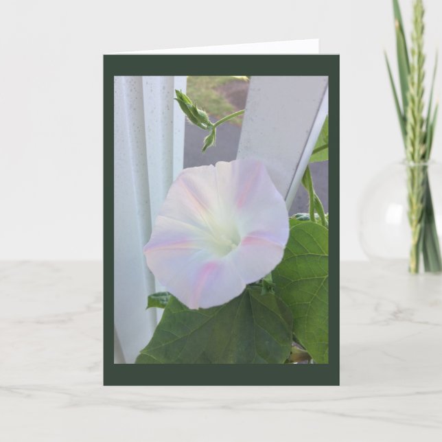Blekt Opal Morgonstånd Blank Kort (Framsida)