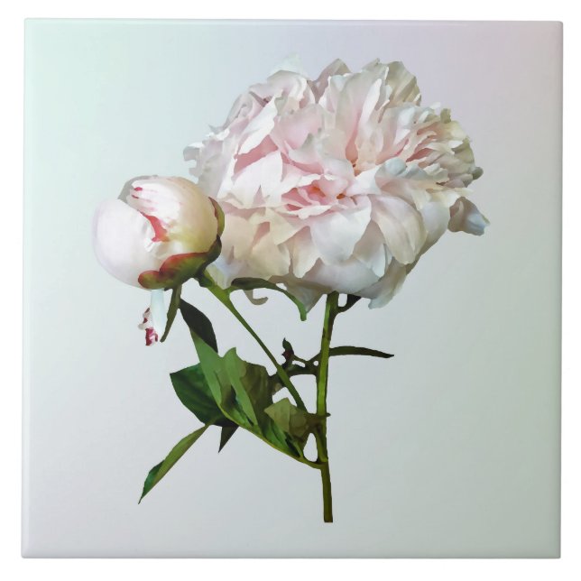 Blekt rosa peon och knopp kakelplatta (Framsidan)