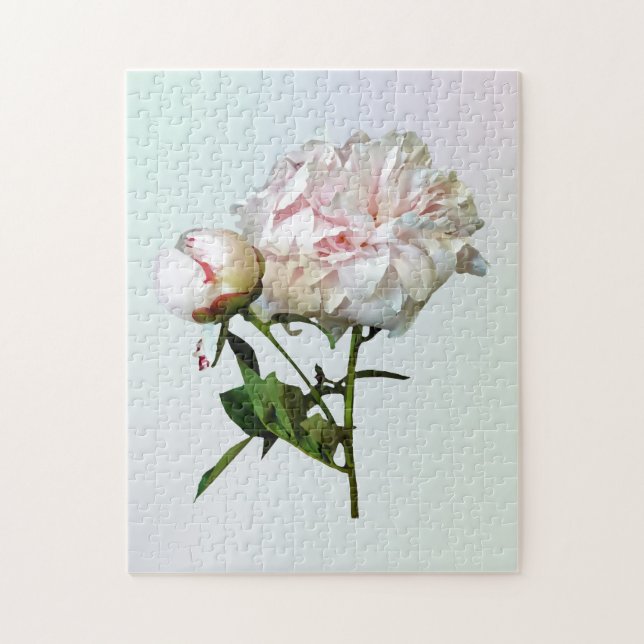 Blekt rosa peon och knopp pussel (Vertikal)