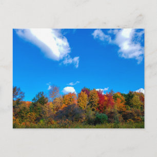 Blendon Skogen Metro Park in Fall, Columbus, Ohio Vykort