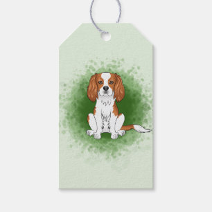 Blenheim Cavalier King Charles Spaniel på grön bak Presentetikett